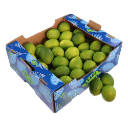 BIO CITRON VERT / LIME 2KG